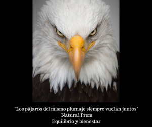 Aves da mesma plumagem voam juntas